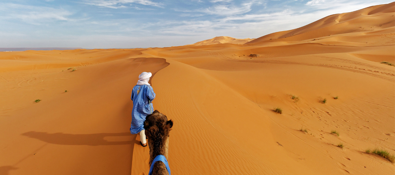 Local Morocco Tours