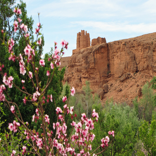 Roses Valley Morocco