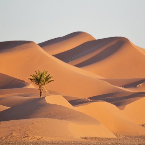 Merzouga Sahara Desert Morocco